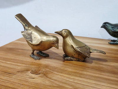 Srikandi - Brass Bird sitting